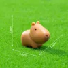 1 capybara