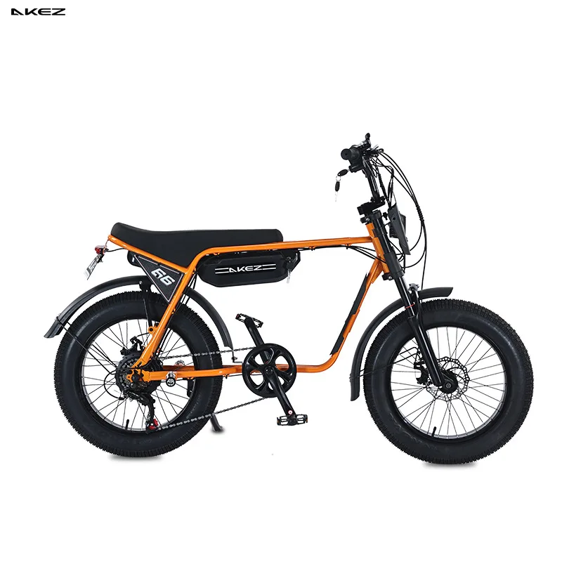 2025 ZX 20 Inch Fat Tires E-bike 48V 750W Electric Urban Bicycle