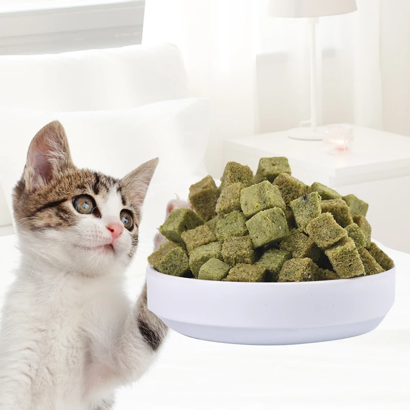 Wholesale Food Cat Halal Catgrass Freezedried Pet Food Vegan Cat Food Buy Food Cat Halal