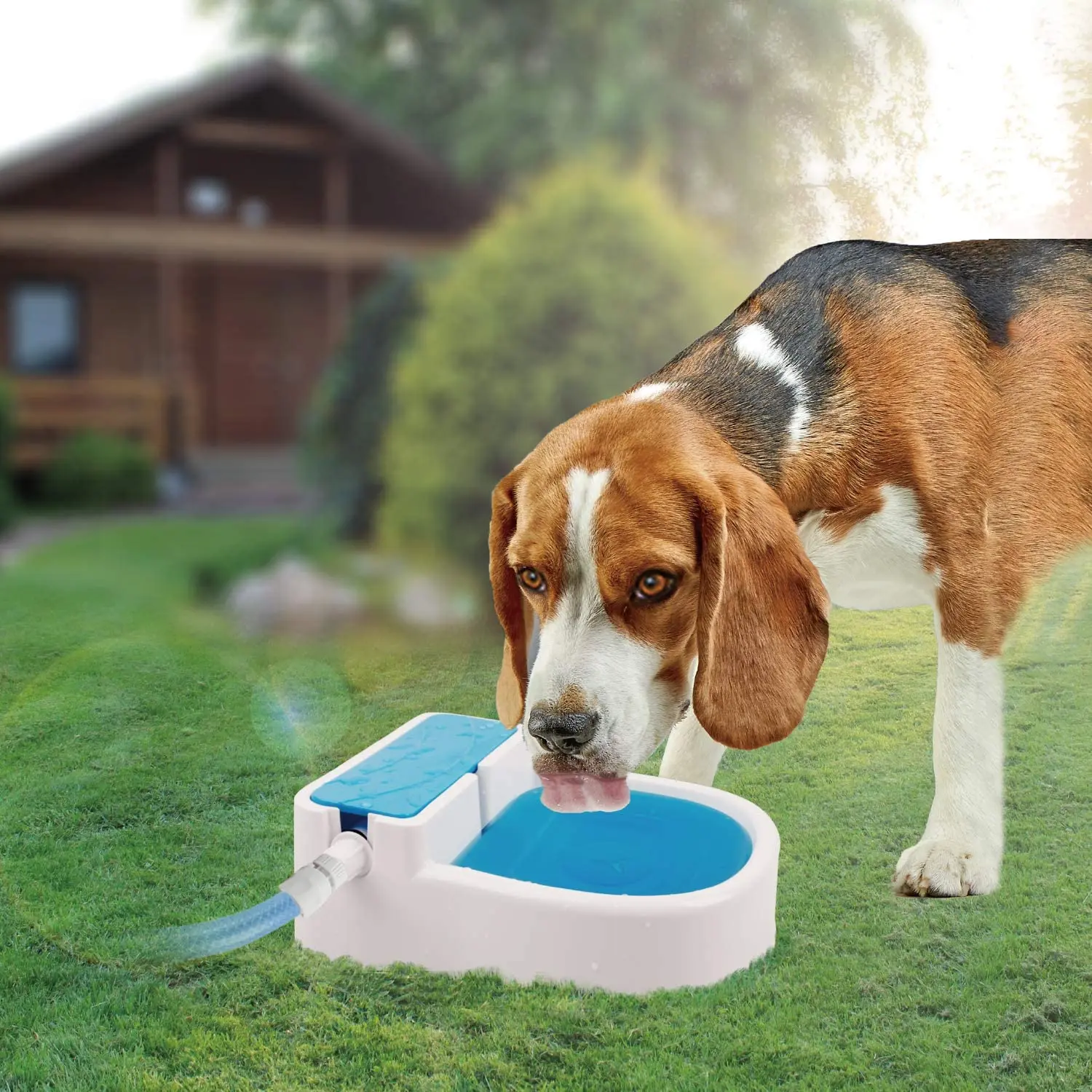 battery operated flip lid cat food bowl PawsPik Heated 18/8 Stainless Steel Outdoor Cat Bowl, Blue, 3 Cups