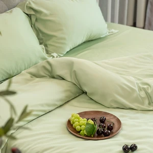 Ultra-smooth Material Tencel Lyocell Bedding Sets Luxury Comforter Set Silk Pillowcase for Home