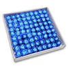 Blue color scheme