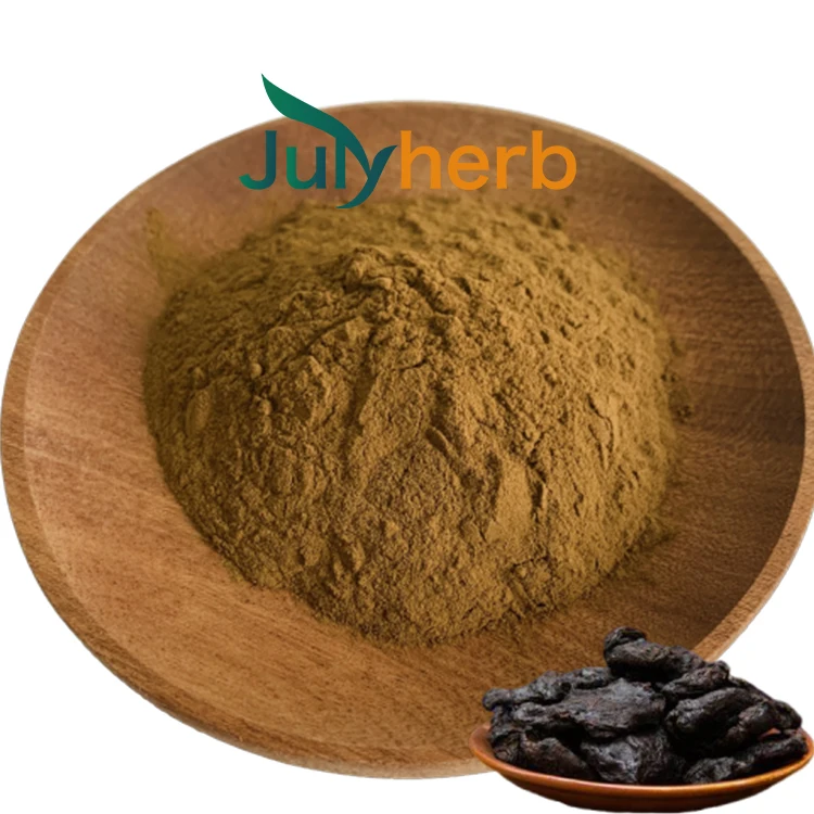 Black ginger extract powder