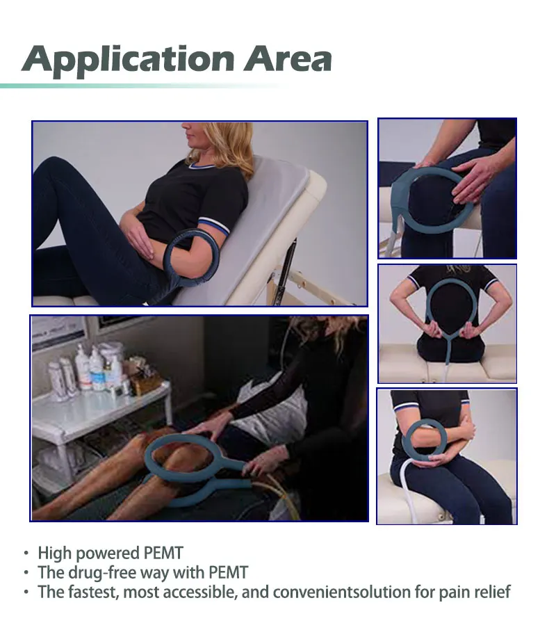 Pemf Equine Animals Pain Relief PEMF Magneto Loop Therapy for Bones Repair Physiotherapy Machine