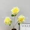 กุหลาบภูเขาหิมะ