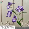 Lirio Bauhinia de 7 cabezas (LYS) - Púrpura