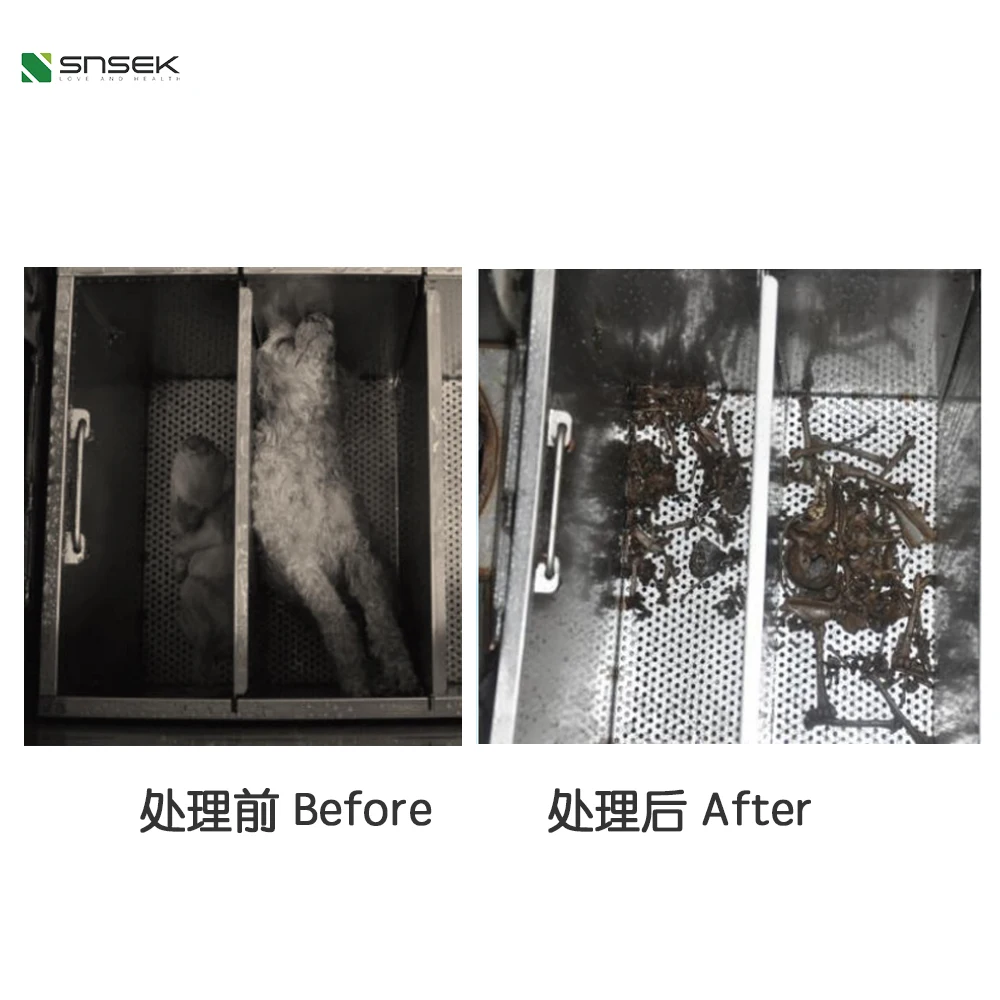 Snsek-SA1000v Aquamation Machine for Animals Bio-Hydrolysis Machine for Pets Water Cremation Machines