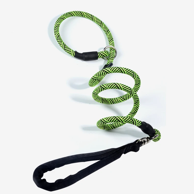 cute retractable dog leash