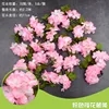 Rayas de flor de cerezo rosa