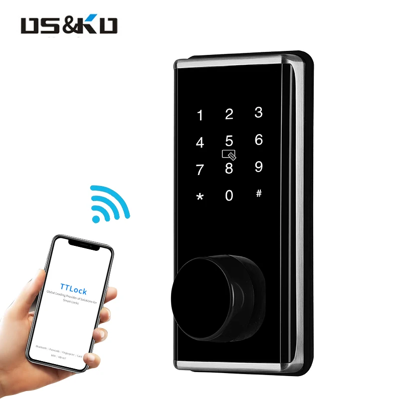 Large Panel Smart Door Lock for Disabled Face Recognition Module Alarm Existing Key for Wood Doors Cloud Data Storage Options