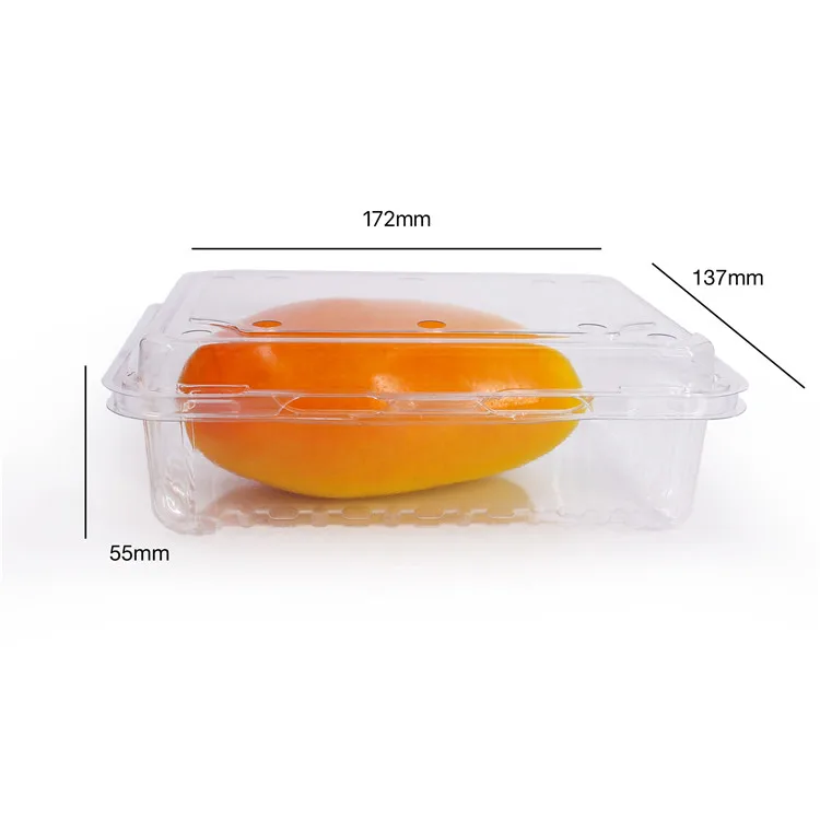 Disposable Clamshell Box Packaging Blister Custom Plastic Rpet/pet