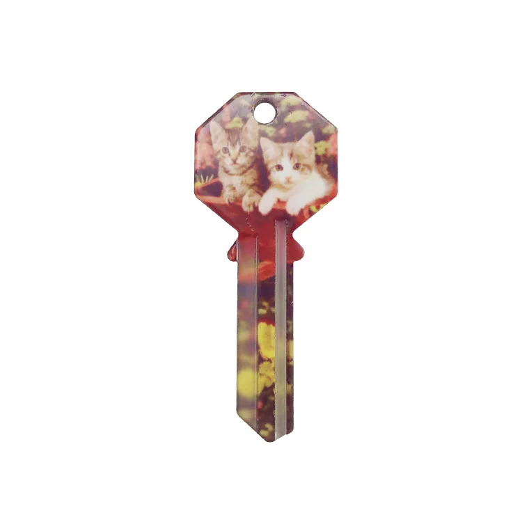 Y1 a Variety of Patterns Can Be Customized Universal Aluminium Color Keys Blank