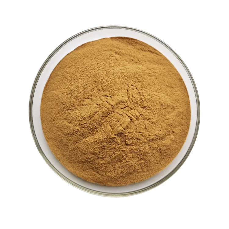 Bulk Bacopa Monnieri Extract Powder 10% 20% 50% Bacopasides Bacopa Monniera Extract