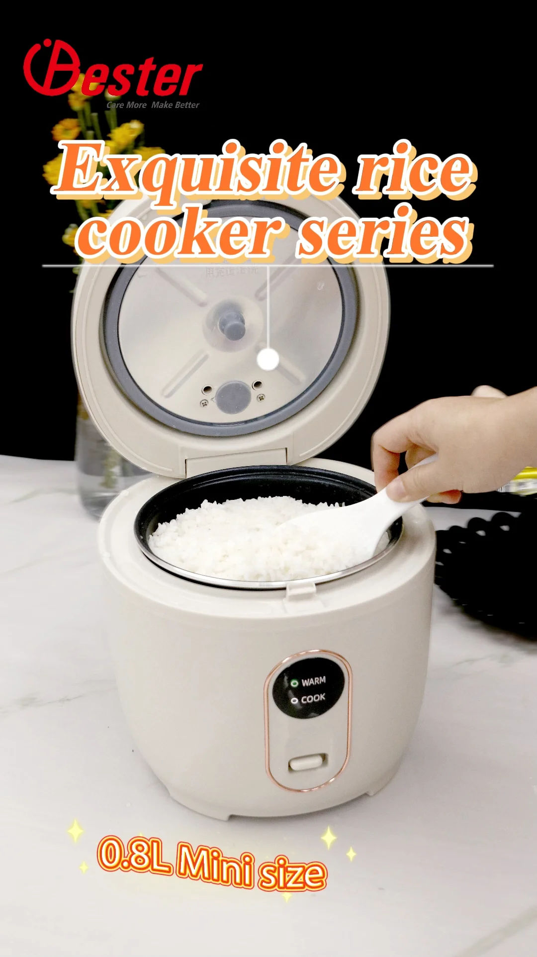 Small Size Rice Cooker0.8l Mini Electric Rice Cooker Buy Small Size