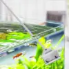 As per image