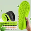 Verde/Negro
