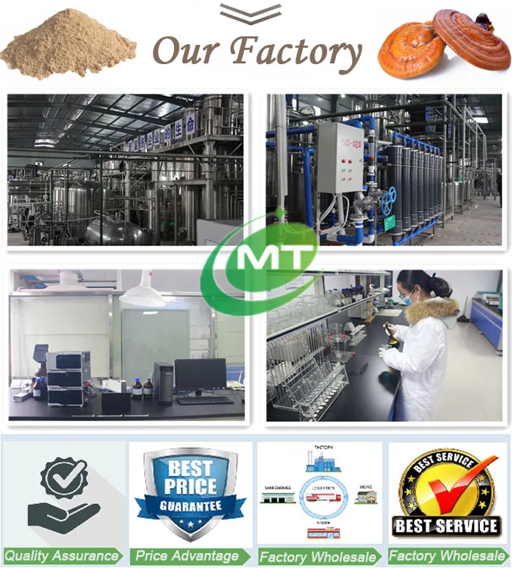 Высококачественный травяной порошок циссуса четырехугольного, органический экстракт циссуса четырехугольного