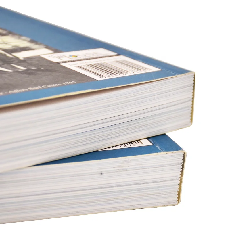 Лидер продаж брошюра GIGO раскраска на заказ дизайн распечатка книг мягкая обложка услуги