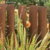 Rust