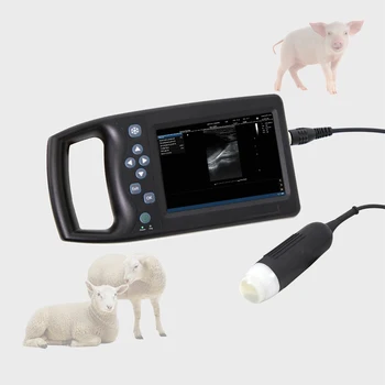 Portable Veterinary B Ultrasound Sow Pregnancy Tester Veterinary ...