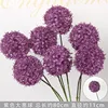 Bola de puerro morado
