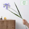 Freesia - Purple