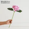 Single-headed hydrangea powder