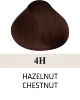 4H Hazelnut Chestnut