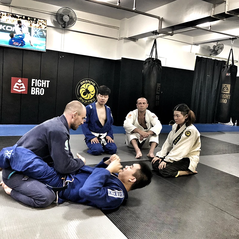 Tatami Judo Mats For Judo Wrestling/ Fightbro Mats/ Floor Mats Kits