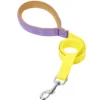 PURPLE YELLOW Leash