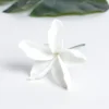 #12 Bianco