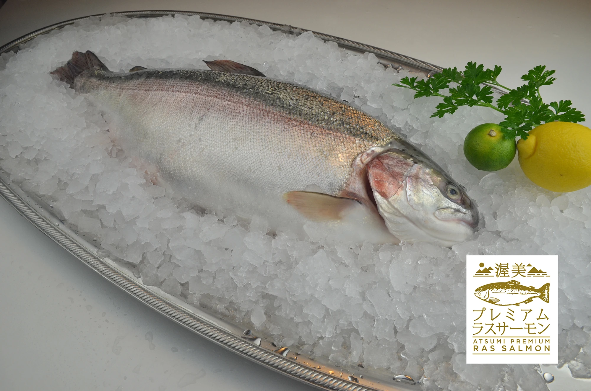 Japan Recirculating Aquaculture System Farmed Fish Fresh Salmon