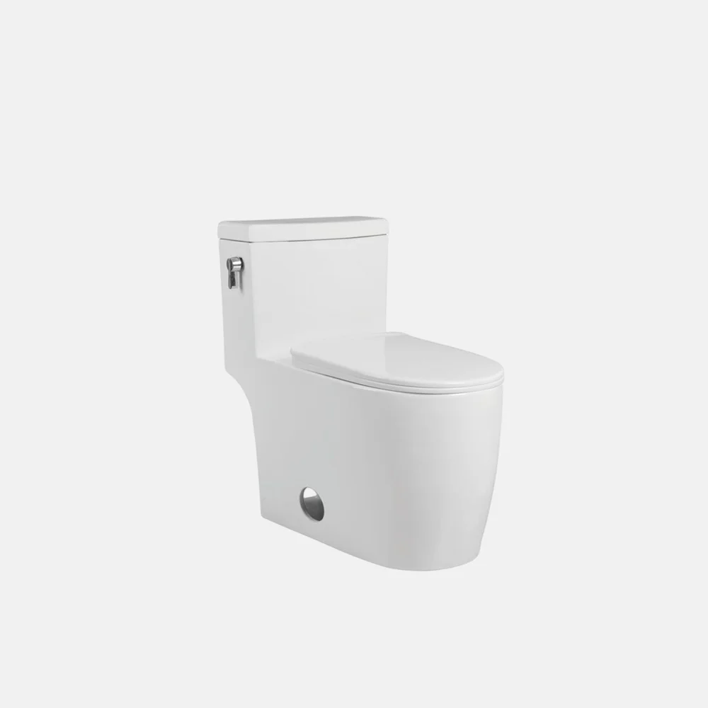 bidet toilet seat