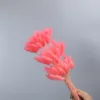 Rouge pastèque