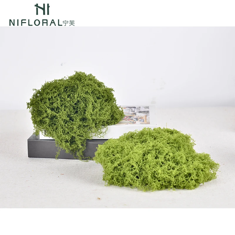 nifloral new stylish indoor decoration moss