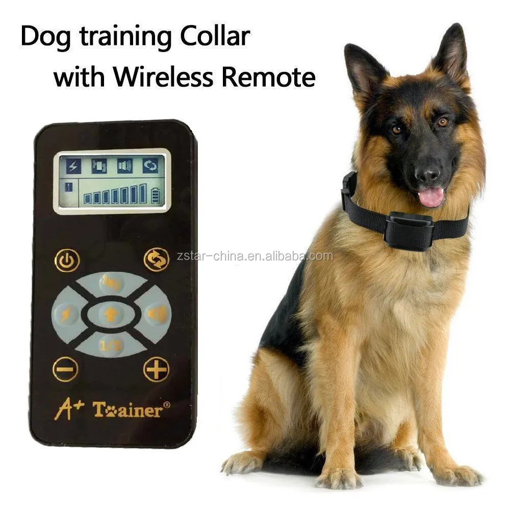 e collar training manual