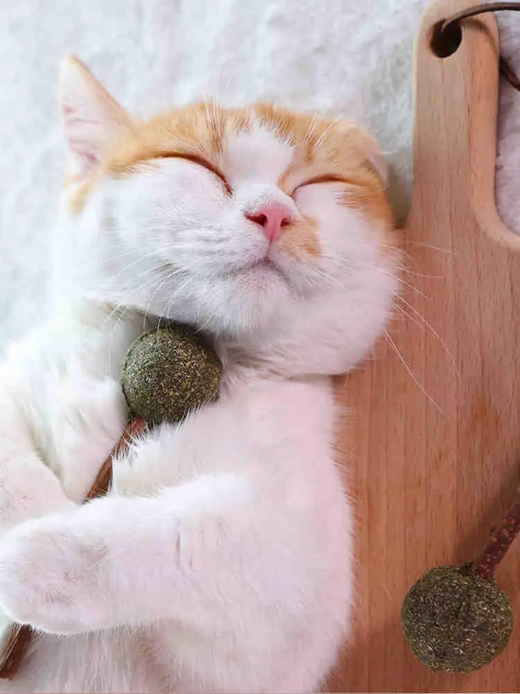 100% натуральная деревянная зубная палочка для чистки кошачьей мяты, натуральная зубная палочка для кошачьей мяты, игрушка для кошачьей мяты