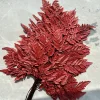 rosso scuro