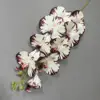 สีขาวสีม่วง