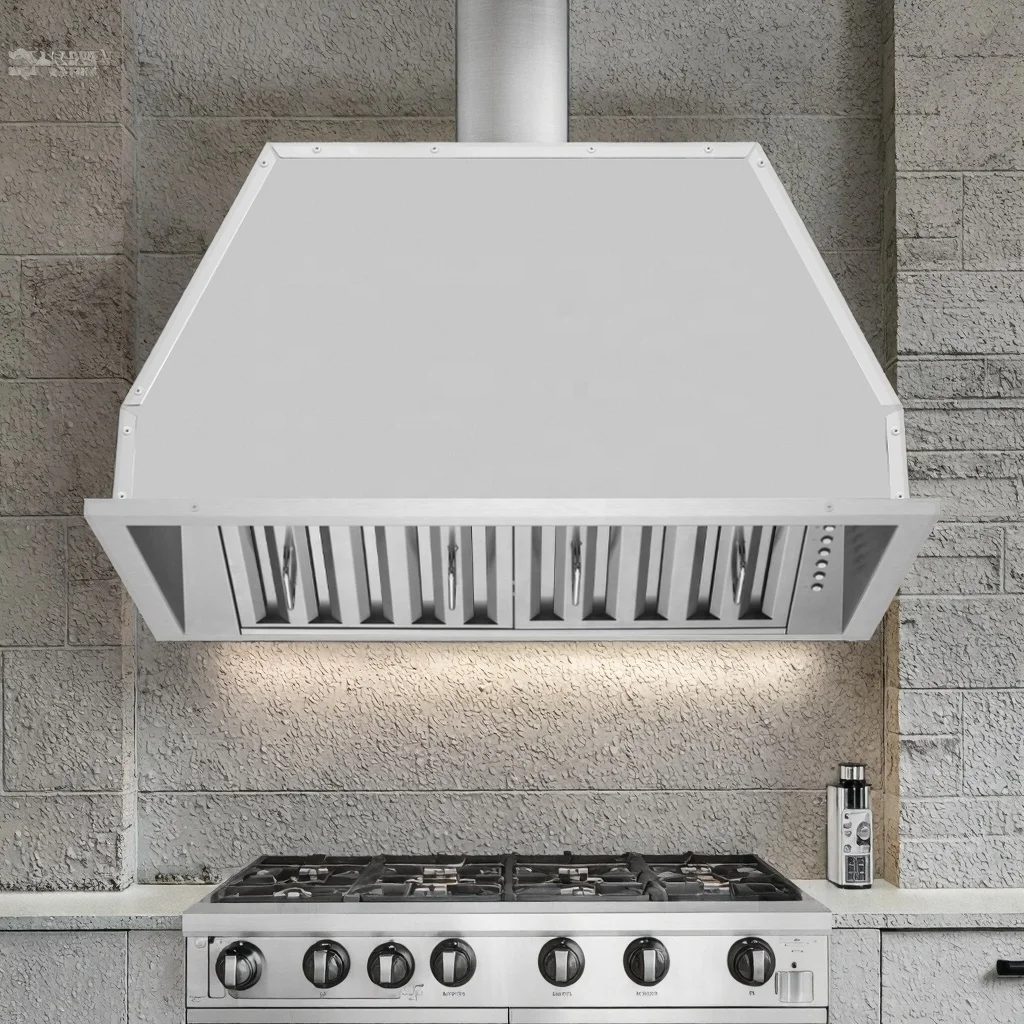 Large Stainless Steel Commercial or Outdoor Barbecue Range Hood Electric Power Source for Household Use manufacture