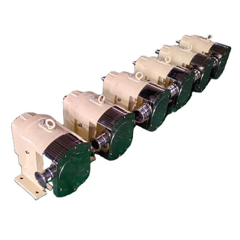 High Viscosity Stainless Steel Rotor Pump with Low Flow Sanitary Grade for Low-Noise Gear Pumps in Food Industry