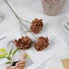 coffee-colored branch