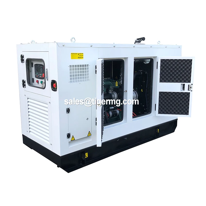 250Kva Single Phase Diesel Generator with Remote Start Air Cooled & Copper Radiator Competitive Price
