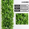 Foresta pluviale tropicale (60 cm di altezza, 40 cm di larghezza)