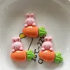 Bright face - sit radish rabbit pink