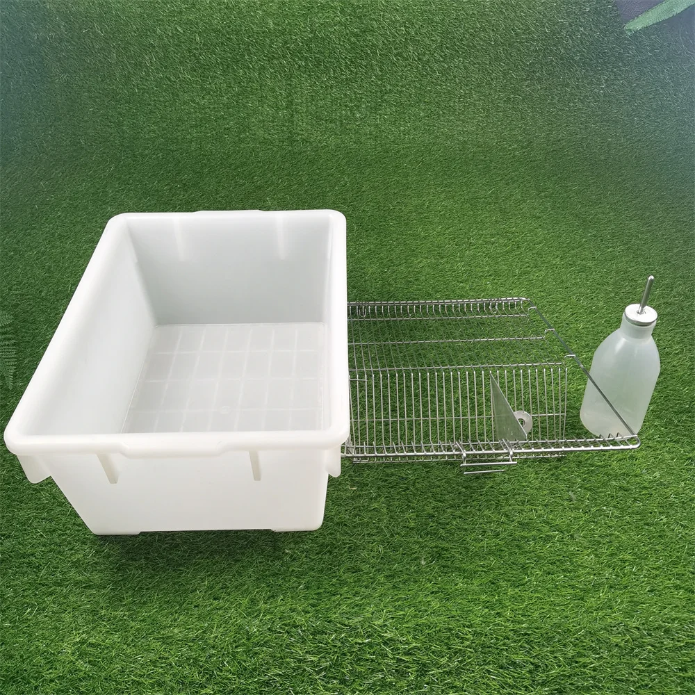 High Quality PP Laboratory Rat Tubs Mouse Breeding Cages for Lab Rodents Mice Feeding