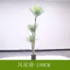 Phoenix palm, 180cm long (with black base)