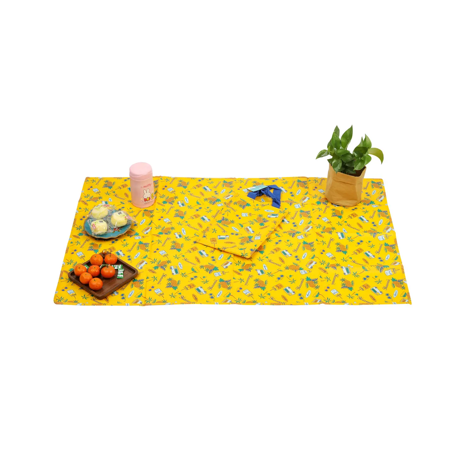Portable Foldable PP Woven Laminated Outdoor Picnic Mat