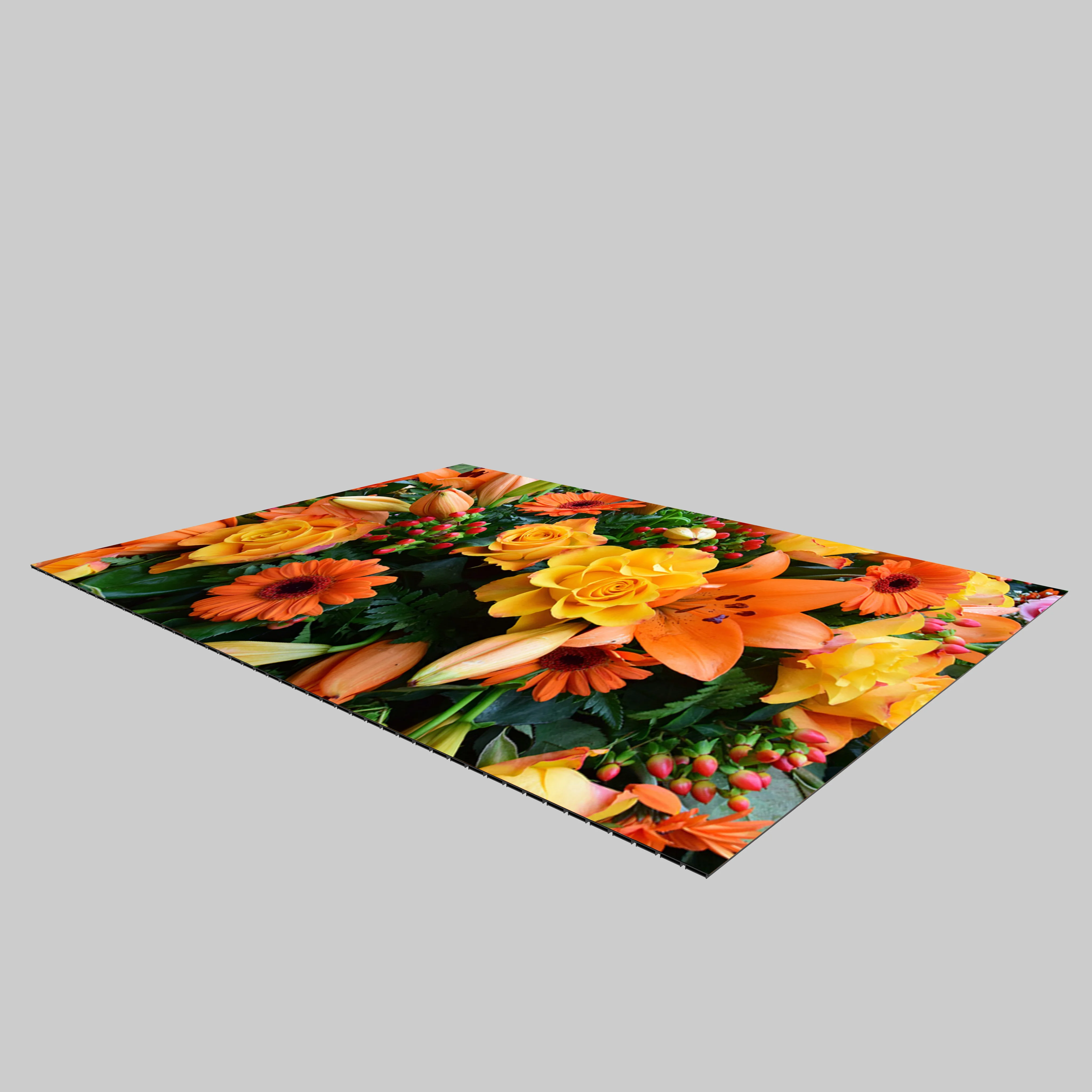 Scenico P2.6 LED Rollable Led Floor Display