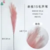Single 15-cent reed, pink